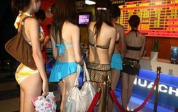 5 cô gái mặc bikini đi... xem phim 
