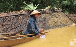 Đạo “công bộc”