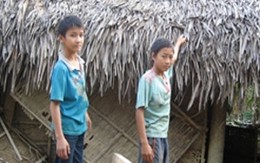 Những "thủy dân" tí hon cứu người trong lũ dữ