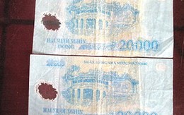 Tiền polymer 20.000 đồng "xuống sắc" 