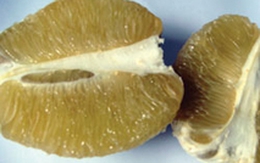 6 thực phẩm ăn nhiều, không sợ béo