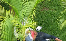 Lợi dụng chỗ vắng, hãm hiếp cháu họ