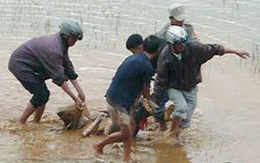 Nghi án giết người phi tang dưới hồ Xuân Hương