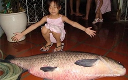 Câu được cá trắm đen nặng 34kg