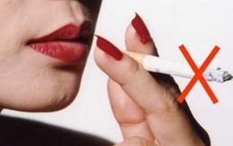 Xây dựng mô hình Quỹ phòng chống thuốc lá tại Việt Nam