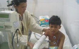 Cậu bé bị rắn độc tấn công