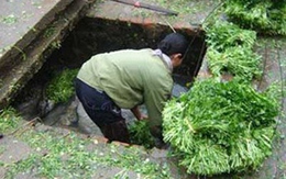 Kinh hoàng rửa rau bằng nước cống