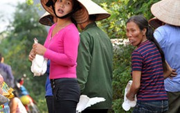 Làm thịt chim hòa bình