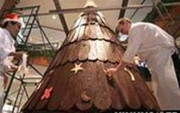 Cây Giáng sinh khổng lồ bằng sôcôla