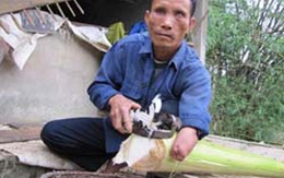 Người đàn ông cụt tay, hỏng mắt tháo vát hơn người lành
