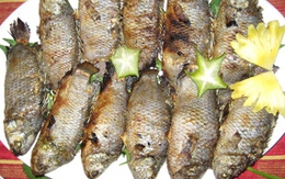 Những món ngon từ cá rô