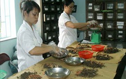 Tất cả các bệnh viện phải có khoa y học cổ truyền