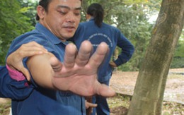 Những chuyện “lạ” ở Công viên Bách Thảo