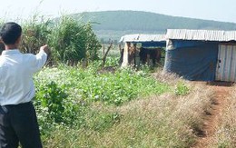 Nữ sinh lớp 11 mang bầu vì bị cưỡng hiếp