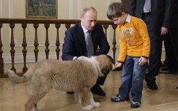 Cậu bé được đặt tên cho cún cưng của Putin