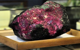 Vụ đấu giá từ thiện ảo: Giá viên đá ruby đưa ra quá đắt