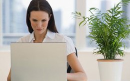 Văn phòng càng kín càng dễ mắc bệnh 