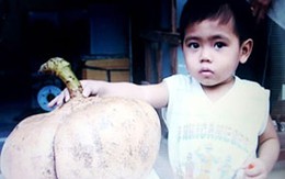 Củ đậu nặng hơn 7 kg 