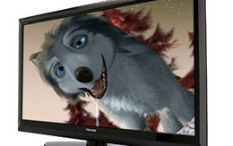 5 mẫu LED 2D nổi bật nhất 2010