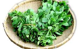 Rau ngót "đánh thức" khả năng tình dục