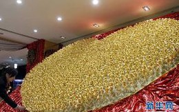 Cầu hôn bằng 1999 đóa hồng 24K