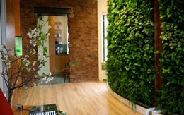Căn hộ 18m² tiện nghi cho người độc thân 
