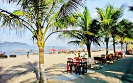 Cuộc sống mới đang trỗi dậy