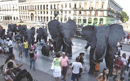 Khách Mỹ đến Cuba tăng vọt 