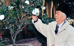 Những bức ảnh chưa từng công bố về tướng Giáp
