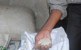 Gạo cứu trợ mốc xanh