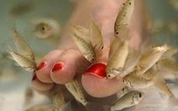 Mát-xa chân bằng cá có thể lây HIV