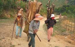 Những thiếu nữ chất củi đầy nhà để "bắt" chồng