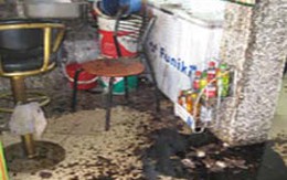Kinh hoàng khủng bố bằng chất thải