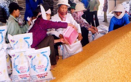 Tập trung cho chất lượng tăng trưởng
