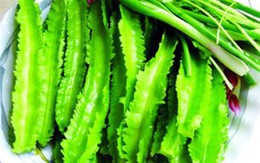 Đậu rồng tốt cho khung xương
