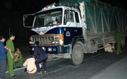 Theo  mẹ đi dạo, bé 3 tuổi chết thảm 