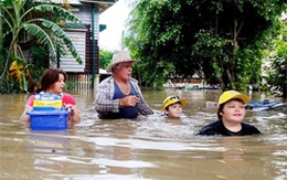 Cá sấu và rắn đe dọa Australia 