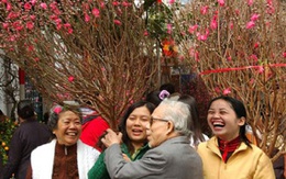 Được nghỉ Tết Nguyên đán 8 ngày