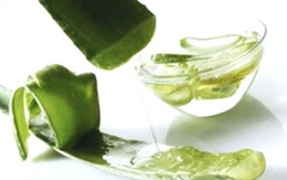 Nha đam có thể làm dị tật thai nhi?