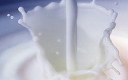 3 nhóm thực phẩm kỵ vitamin C