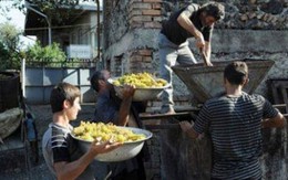 Dịch vụ cho thuê "chồng" theo giờ