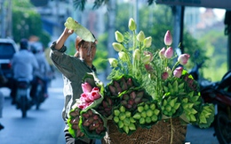 "Quốc hoa", "Quốc phục" và cả..."Quốc tửu"