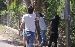 Nam thanh niên chết cứng trên cây dừa 