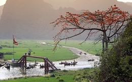 Cứ chờ xem