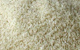 Sửng sốt vì gạo cũng bị làm giả