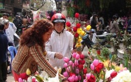 Giữ ấm cho hoa ngày Tết