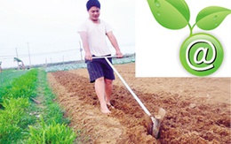Trồng rau thời @