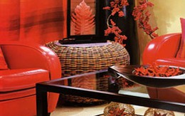 Mẹo nhỏ dọn nhà đón Tết 