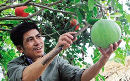 Ca ghép tim đầu tiên của Việt Nam: Gặp người đàn ông “kêu ủn ỉn"