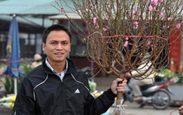 Miền Bắc đón Tết trong tiết trời ấm áp
